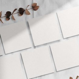 Azulejo Branco Liso Brilhante ou Fosco