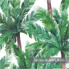 Papel de Parede Tropical Arembepe - 4