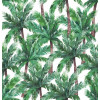 Papel de Parede Tropical Arembepe - 1