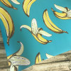 Papel de Parede Banana Fundo Turquesa - 4