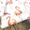 Papel de Parede Flamingo - 5