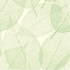 Papel de Parede Folhas Verdes - 1