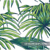 Papel de Parede Tropical Itacare - 1