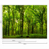 Painel Fotográfico Mata Verde - 1
