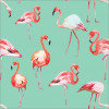 Papel de Parede Flamingo Fundo Turquesa - 1