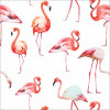 Papel de Parede Flamingo - 2