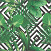 Papel de Parede Tropical Curupira - 1