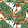 Papel de Parede Tropical Santarém - 1