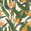 Papel de Parede Tropical Strelitzia - 1