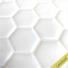 Placa de Pastilha Adesiva Resinada Hexagonal Branco fundo branco - 30cm x 30cm - PRONTA ENTREGA - 1